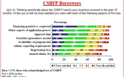 The Canadian Small Business Financing Program